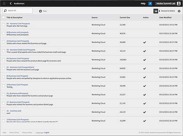 Customer segments identified by Adobe Analytics.