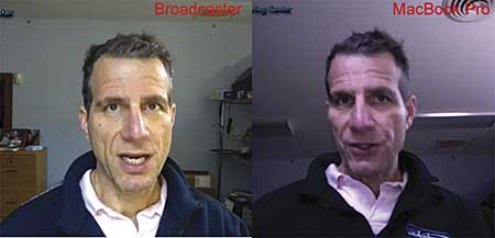 WebcastFig2